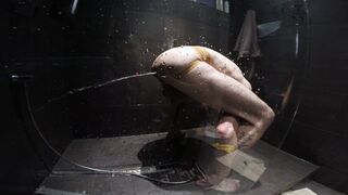 Bigbluebone's steamy shower assfuck ends in explosive squirt