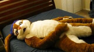 Watch as a furry hunk with a big cock masturbates and strokes his partner's hard rod