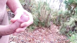 Naughty guy gets off on himself while hiking in the woods, enjoying the view and the dripping wet orgasm