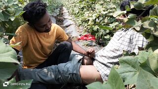 Sugarcane Sphere Video A Unique Story Of A Farming Farmer And A Biker City Stud - In Hindi