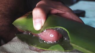 MGEcuador's thick uncut cock makes his gyno's job easy with a massive cumshot