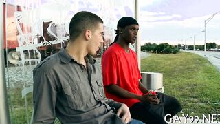 Two mixed-race guys hook up and have steamy interracial sex on camera